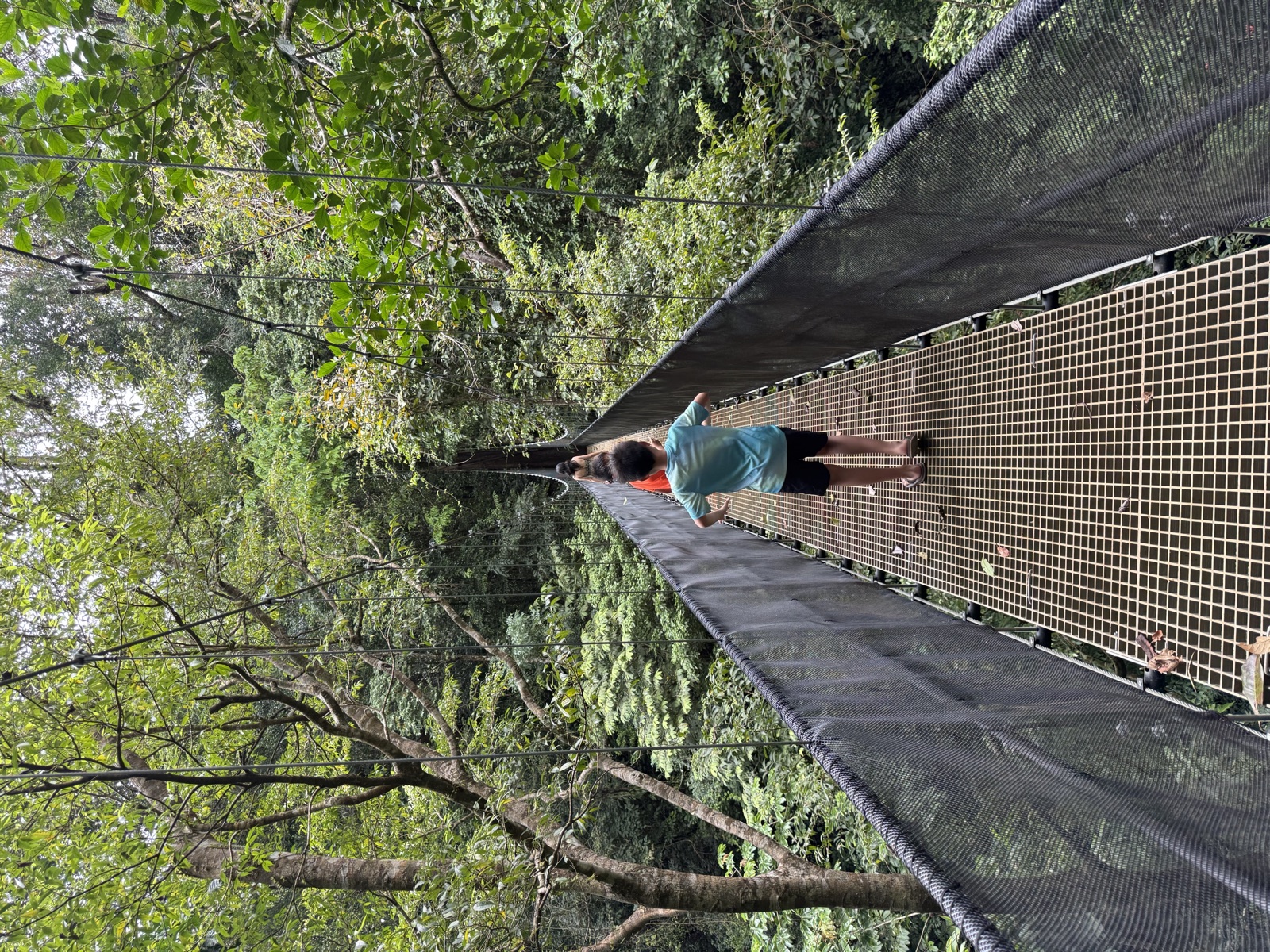 Suspension bridge at El Remanso