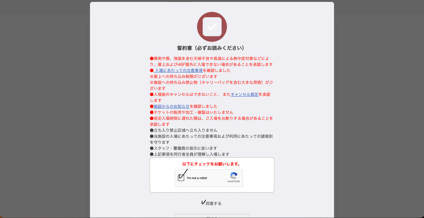 Step 2: Terms and conditions checkbox